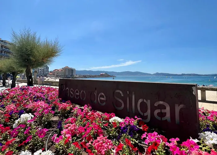 Apartment Piso Oleaxe *